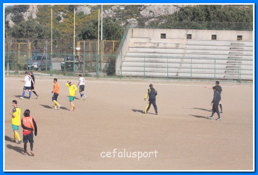 130406 delfini 081_tn.jpg